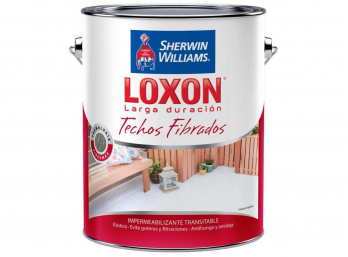 LOXON LARGA DURACION - TECHOS FIBRADOS Blanco X 5 Kilos