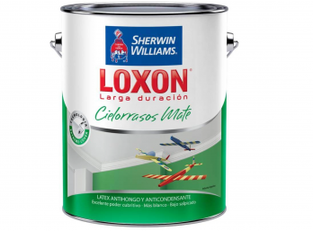 LOXON LARGA DURACION CIELORRASOS MATE Blanco X 4 Litros