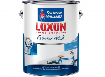 LOXON LARGA DURACION EXTERIOR MATE Gris cemento X 1 Litro